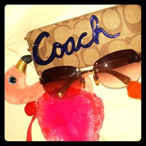 Coach Kyra (S325) Brown Sunglasses With Hard Case